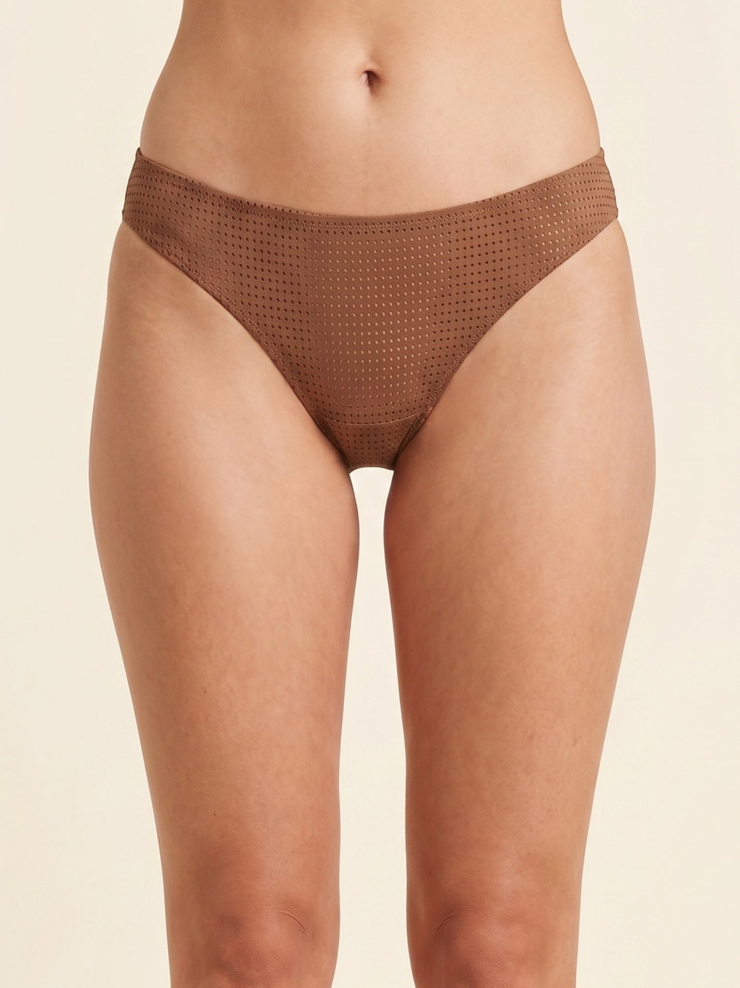 Mesh Fabric Bikini Panty