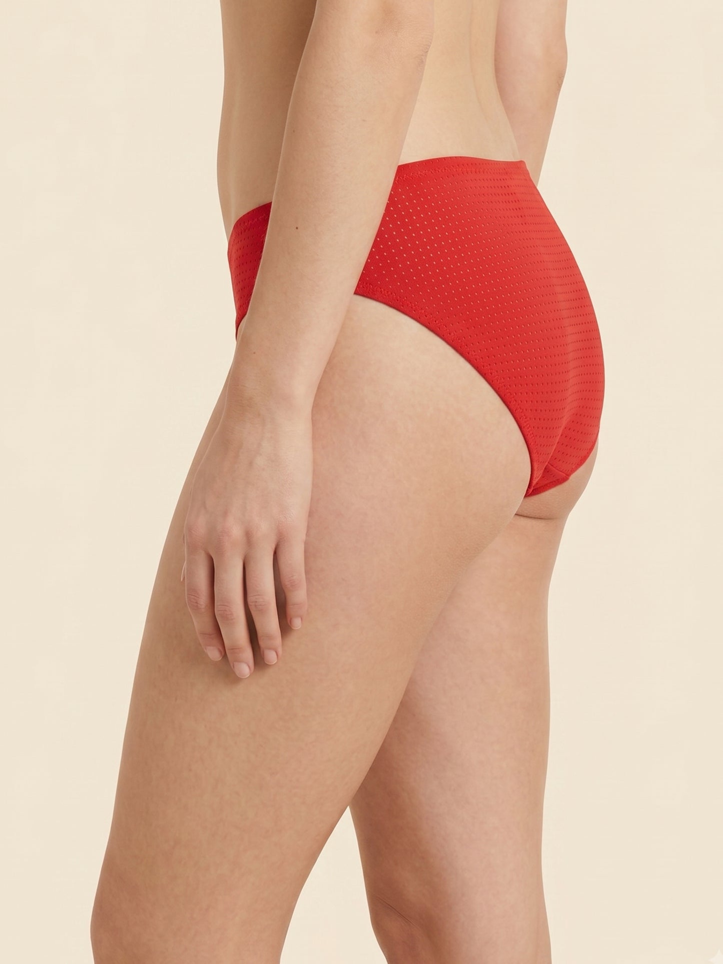 Mesh Fabric Bikini Panty